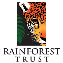 Saving rainforest. Protecting life.
