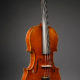 Sebastiano Ferrari violin violin viola cello maker Antonio Stradivari